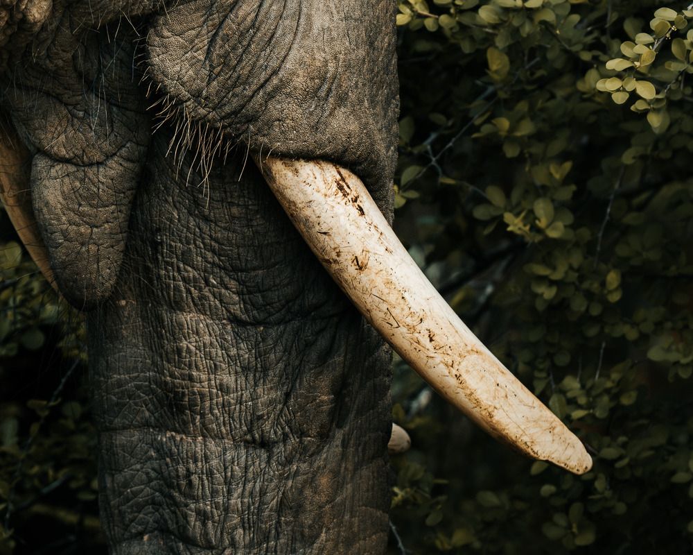 Photograph by Damith Gihan