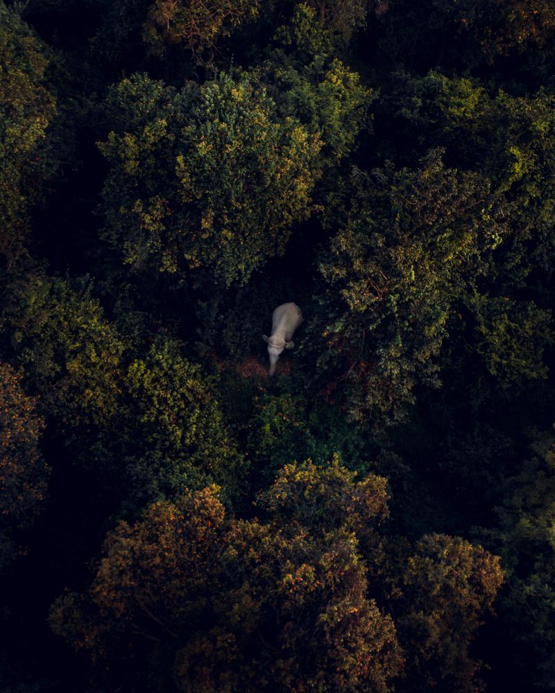 Photograph by Damith Gihan