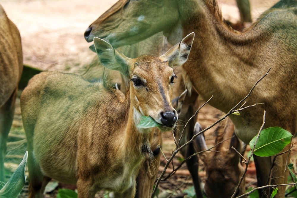 Photograph by Rajdeep Kundu