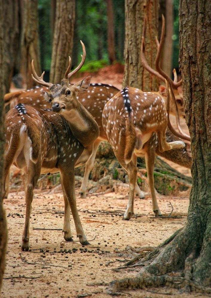 Photograph by Rajdeep Kundu