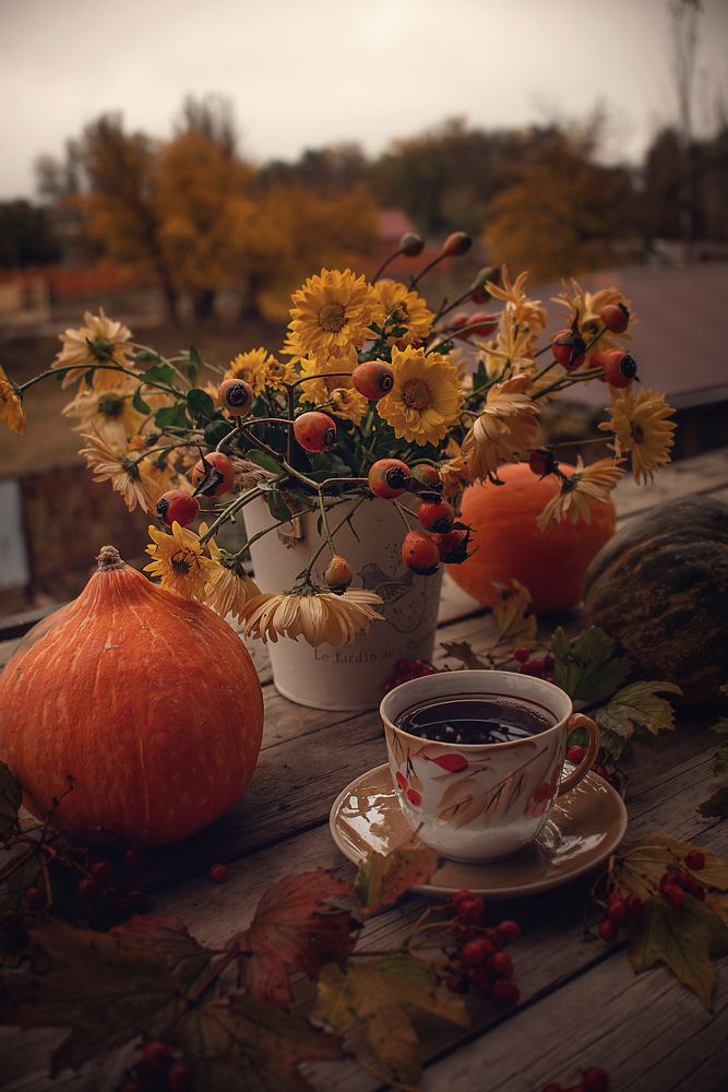 Фотография автора Романова Инга