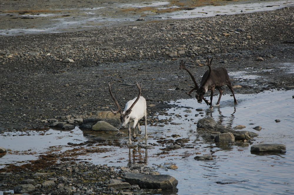 Photograph by Татьяна Раковская