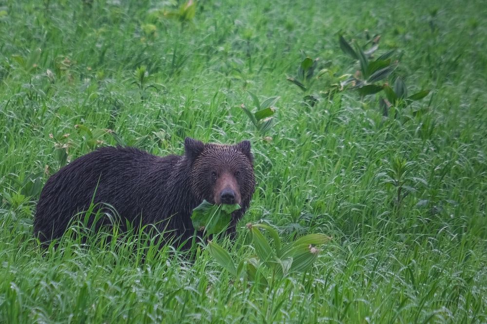 Фотография автора Маргарита Белошицкая