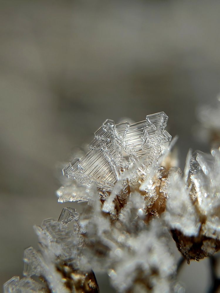 Photograph by Полина Мальцева