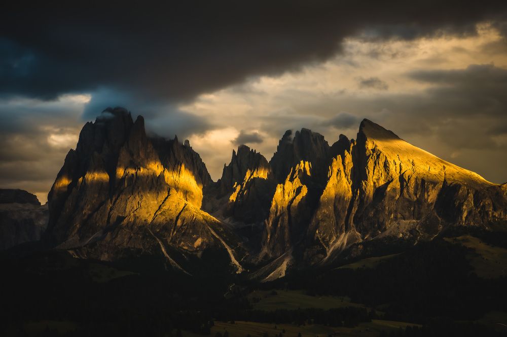 Photograph by Agnieszka Wieczorek