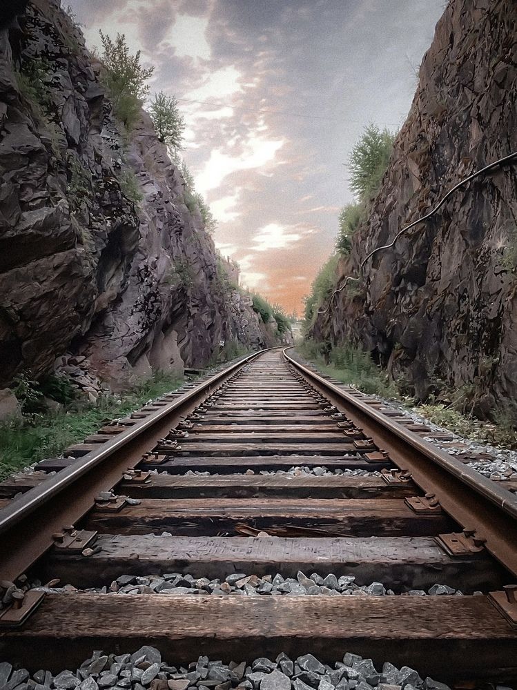 Фотография автора Дарья Кузнецова