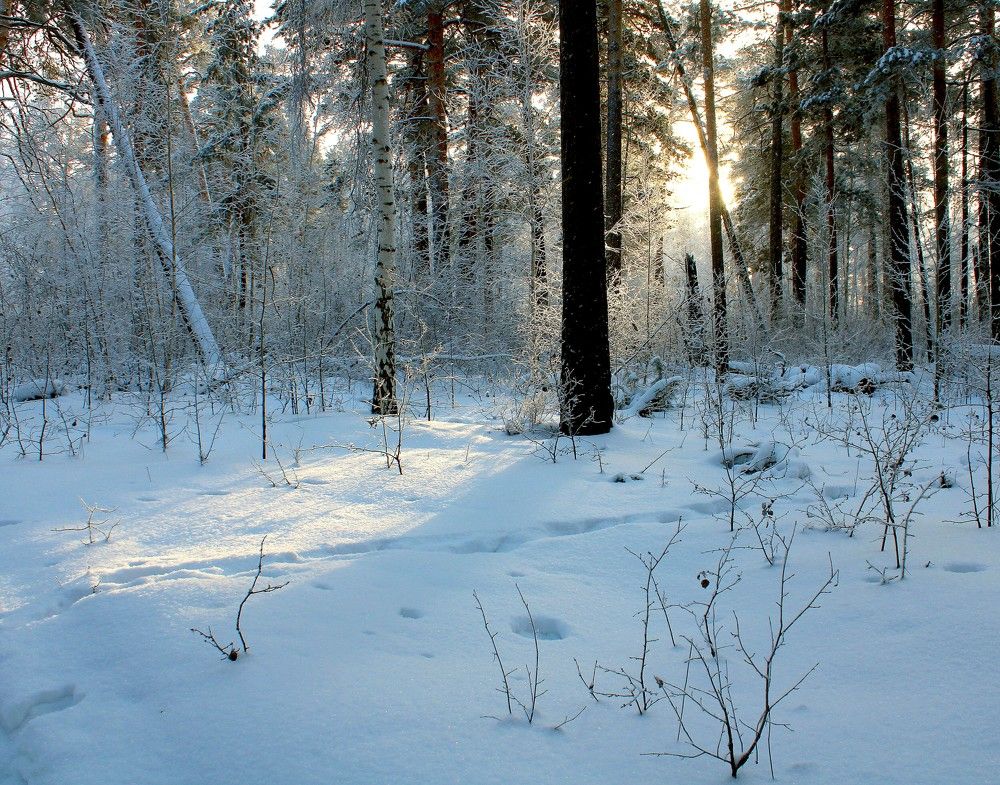 Photograph by Елена Кузнецова