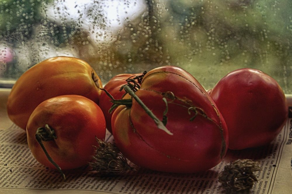 Photograph by Екатерина Першина