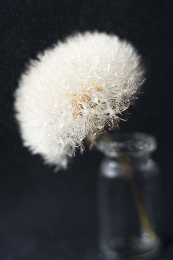 Фотография автора Анастасия Павловна