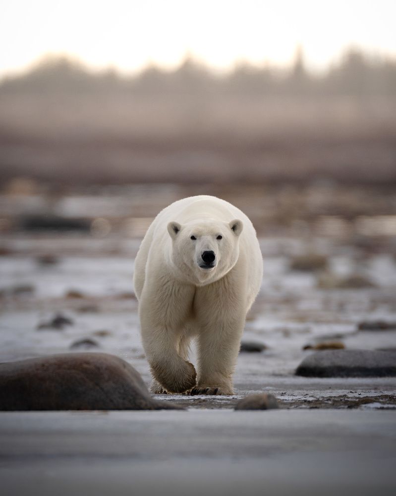 Фотография автора Karthik Subramaniam