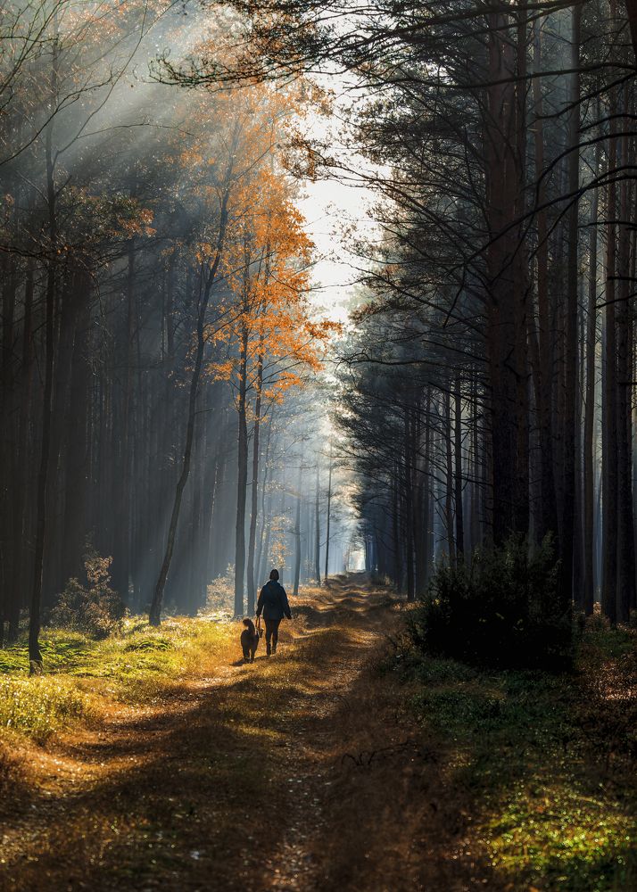 Photograph by Robert Gruszecki