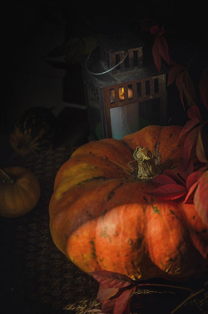 Фотография автора Романова Инга