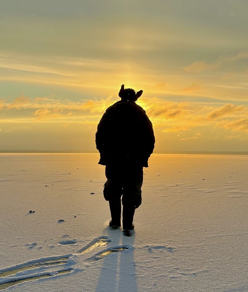 На встречу солнцу