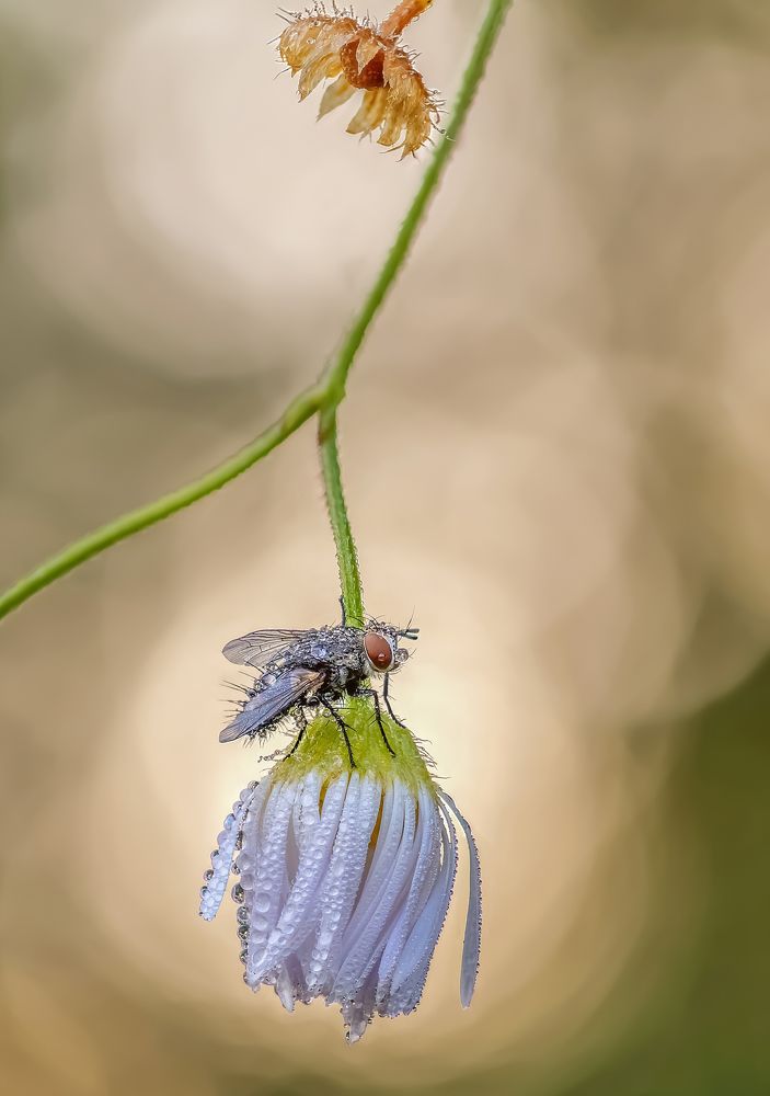 Photograph by Чепленко Алексей