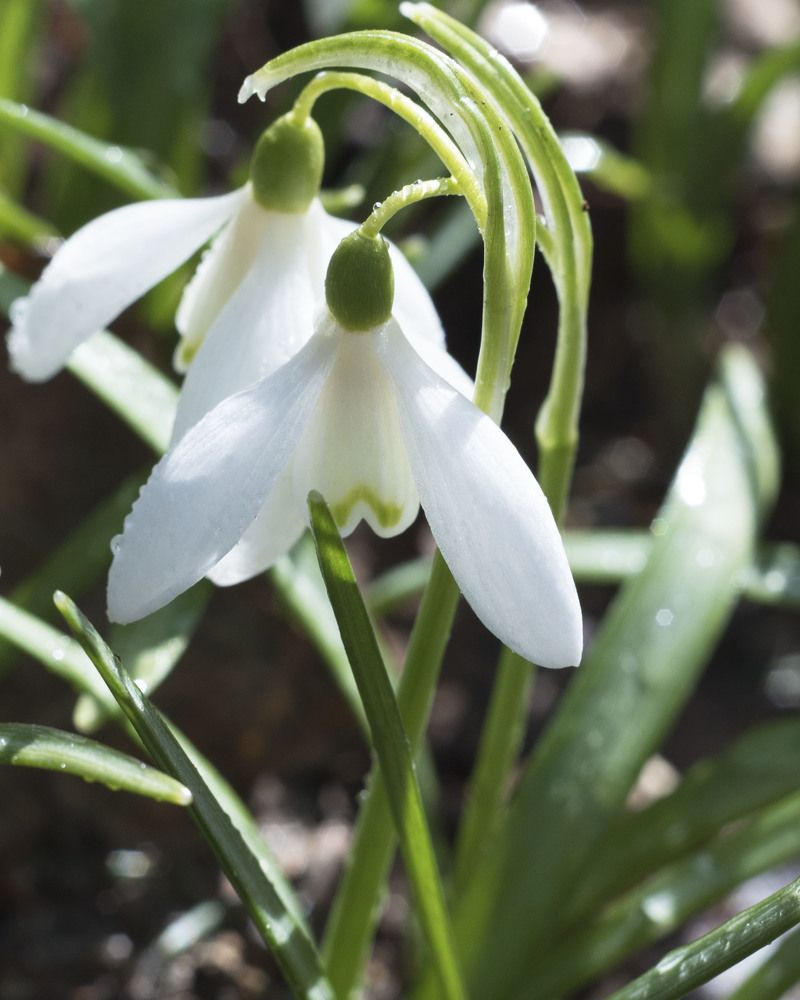 Фотография автора Анастасия Павловна