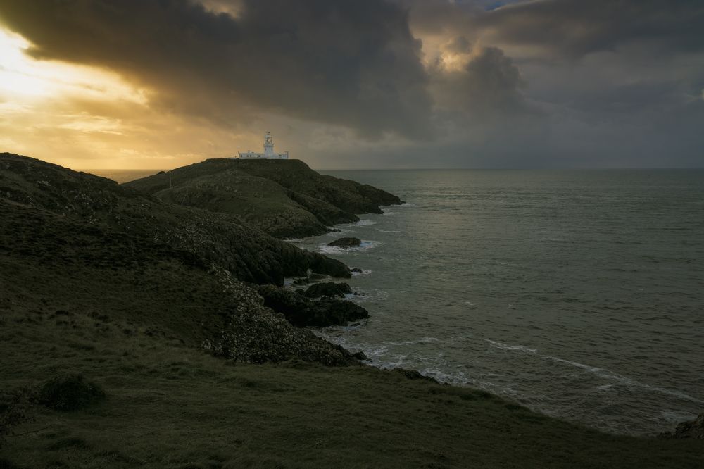 Photograph by Andy Fowlie