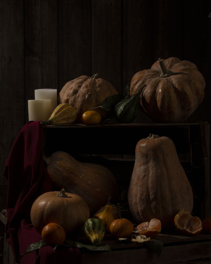 Photograph by zeinab zolfaghari