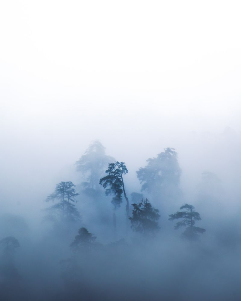 Photograph by Debarshi Das