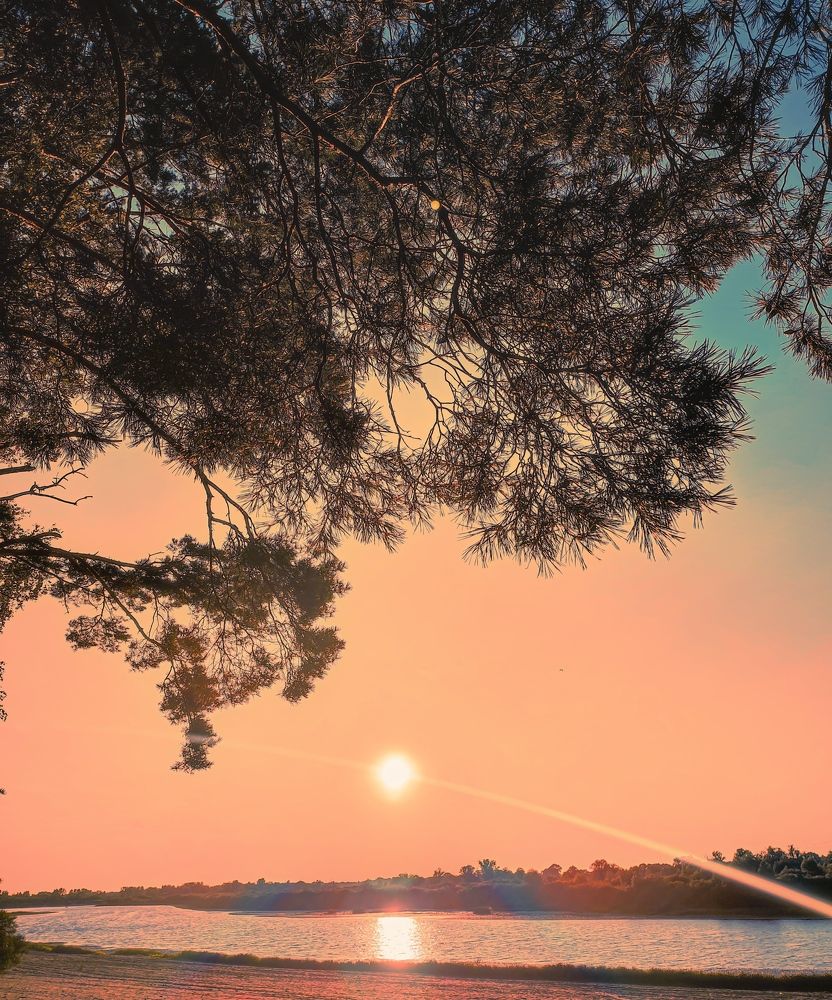 Photograph by Николай Яковлев