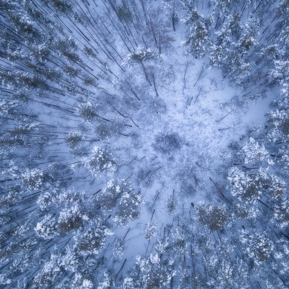 Photograph by Дмитрий Жучков