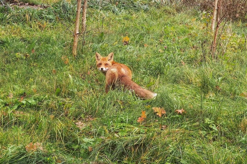 Photograph by Ирина Хмельщикова