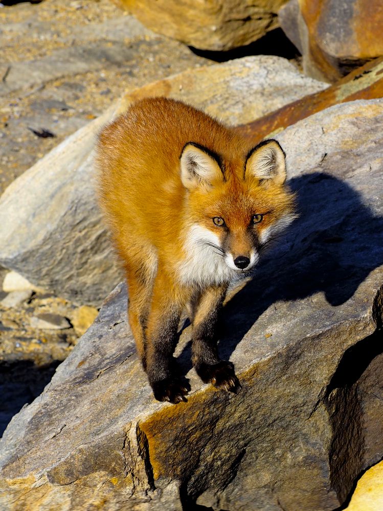 Photograph by Дмитрий Потапов