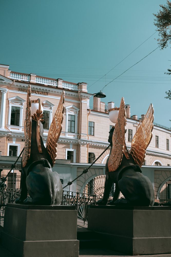 Photograph by Виктория Гончарук