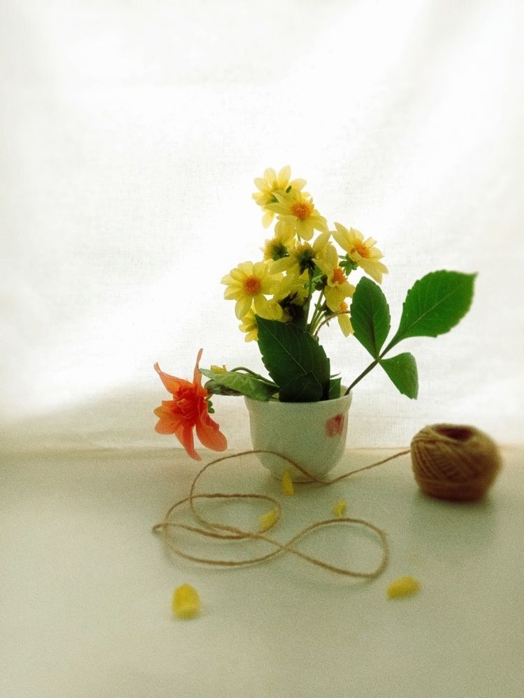 Photograph by Юлия Авдеева