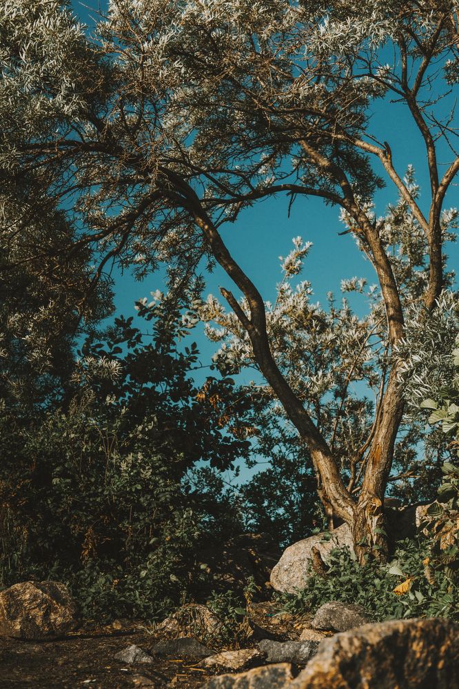 Photograph by Виктория Гончарук