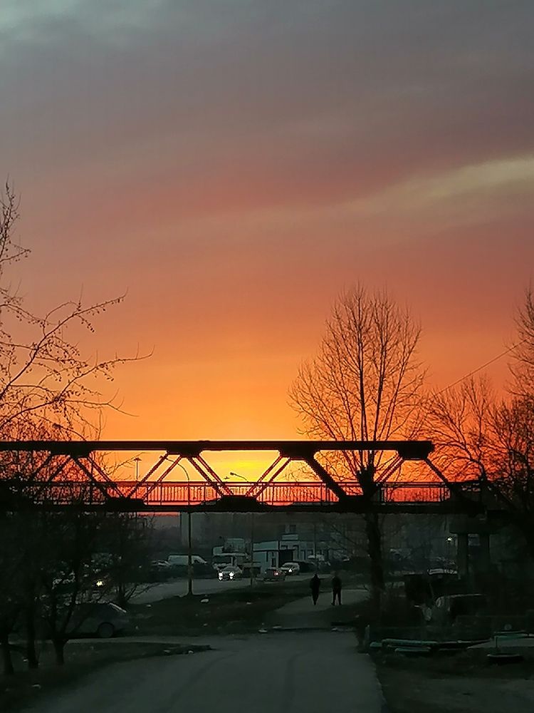 Photograph by Наталия