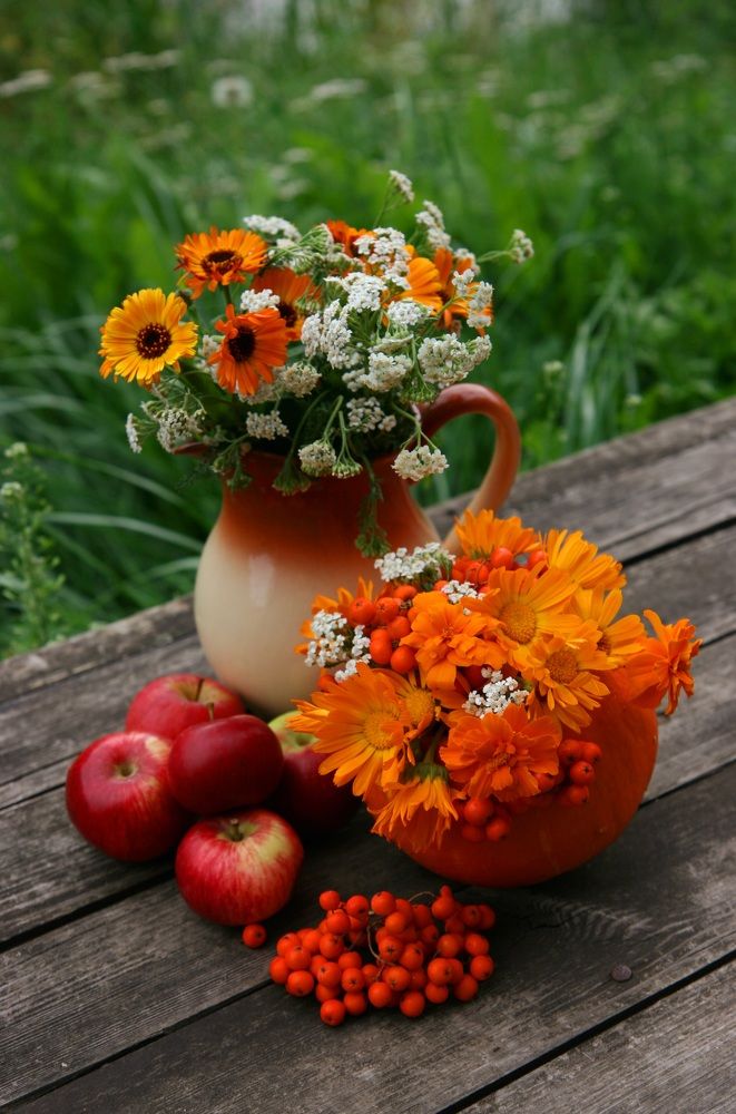 Photograph by Алена Ходатович