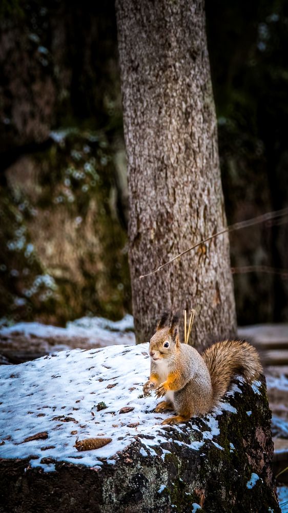 Photograph by Lenar Valeev