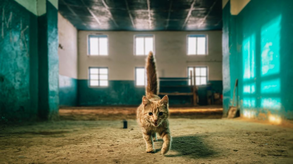 Photograph by Арсений