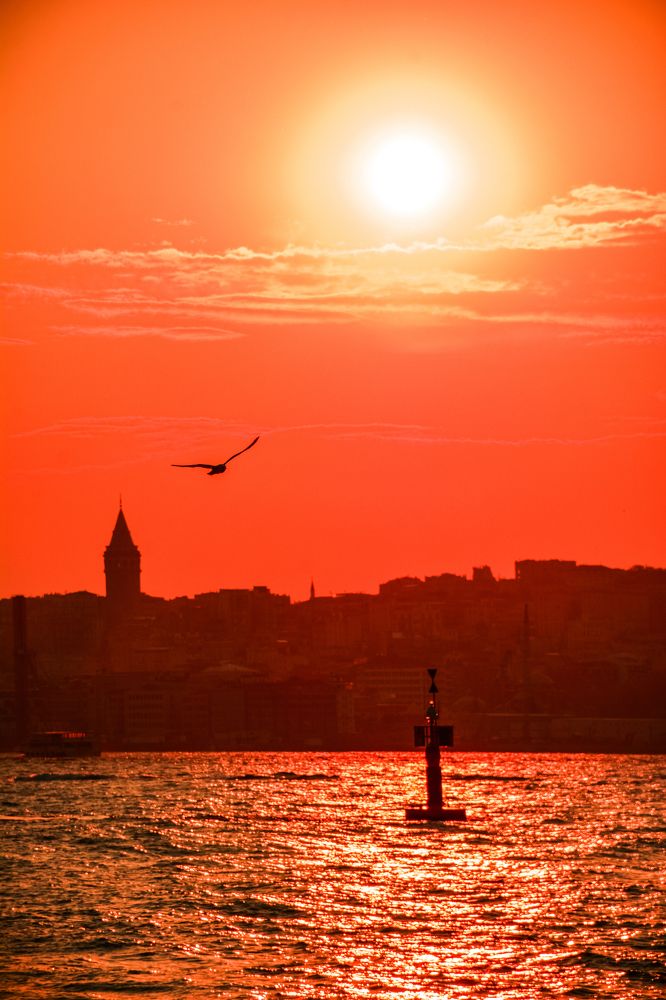 Photograph by Оксана Моргунова