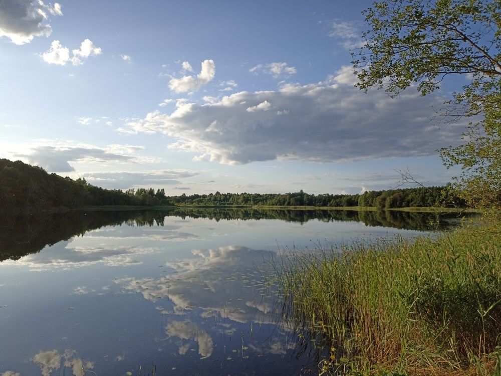 Photograph by Юлия