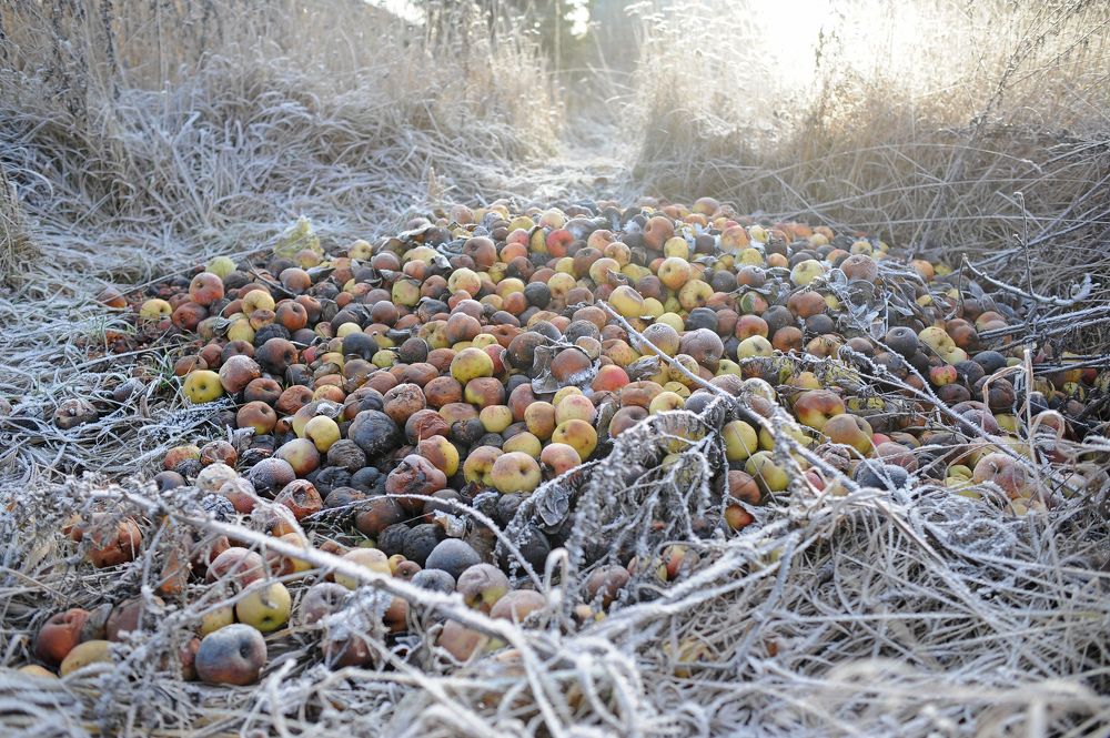 Photograph by Михаил Кинеев