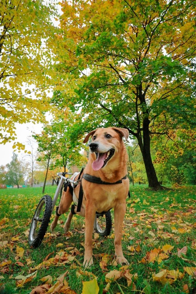 Мой Джереми))