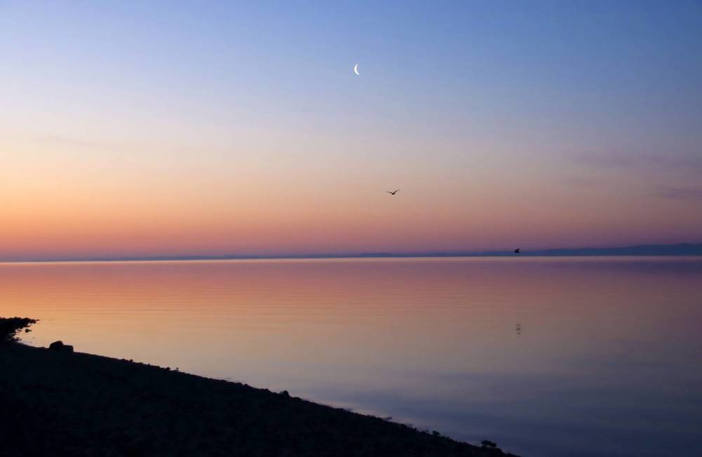 Утренняя палитра...