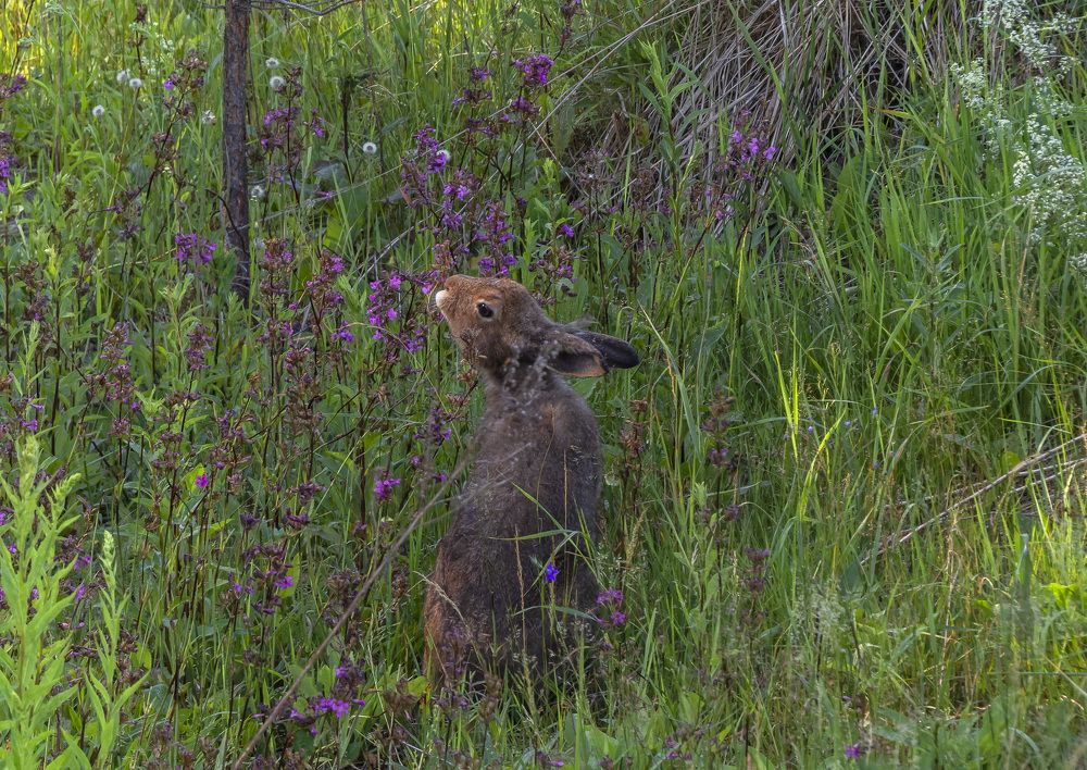 Photograph by Цветков Сергей