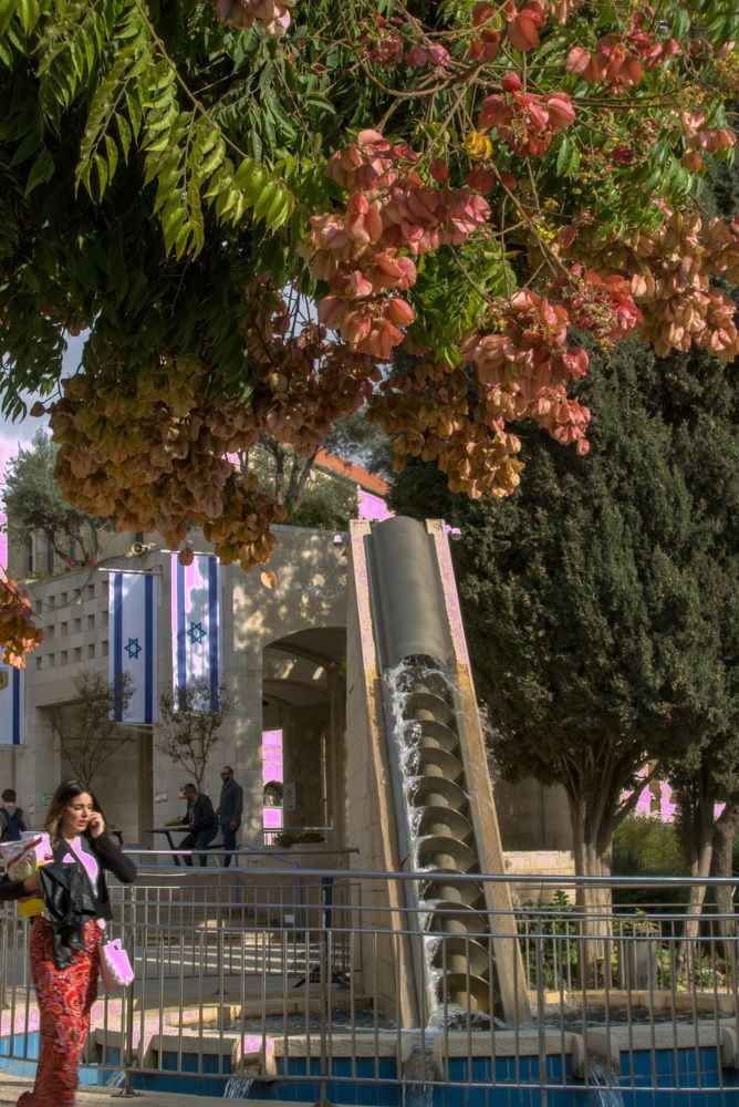 Photograph by Алла Шапочник