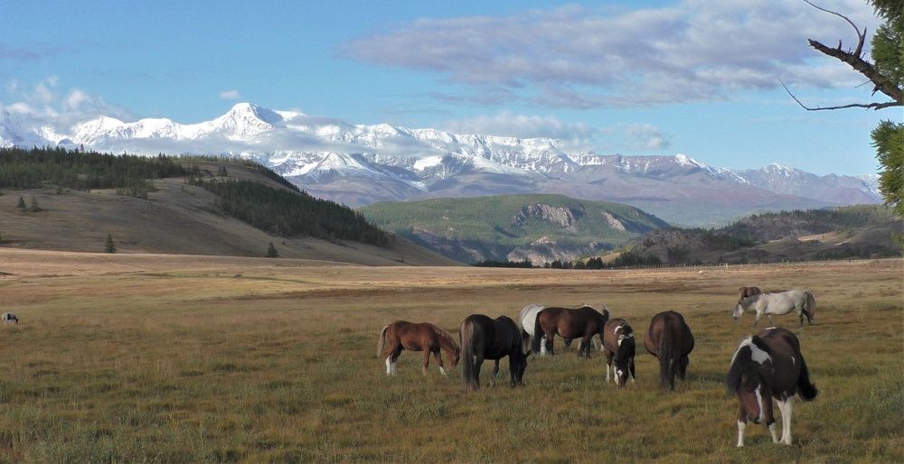 Photograph by Олег Лебедев