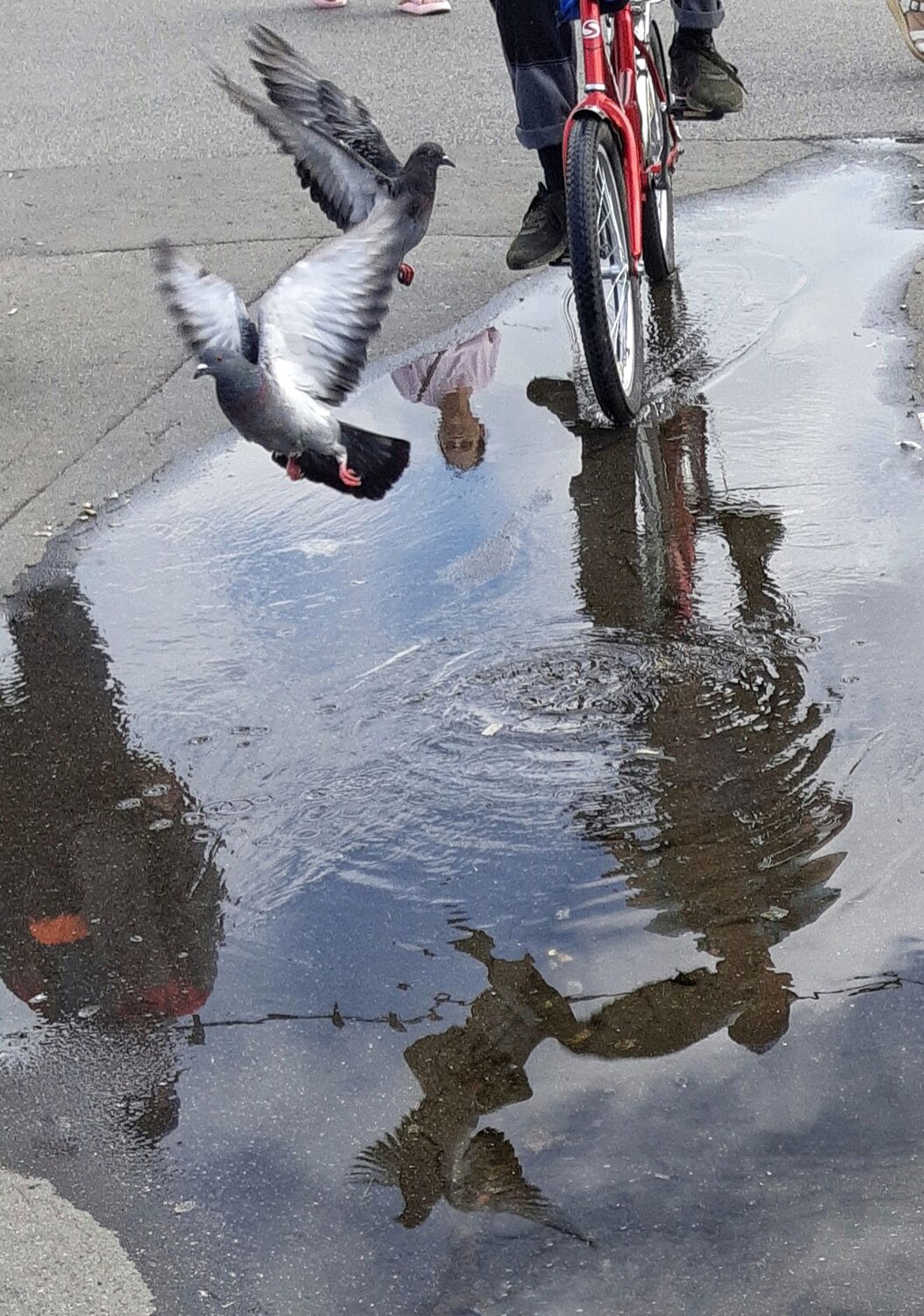 Photo #9881620