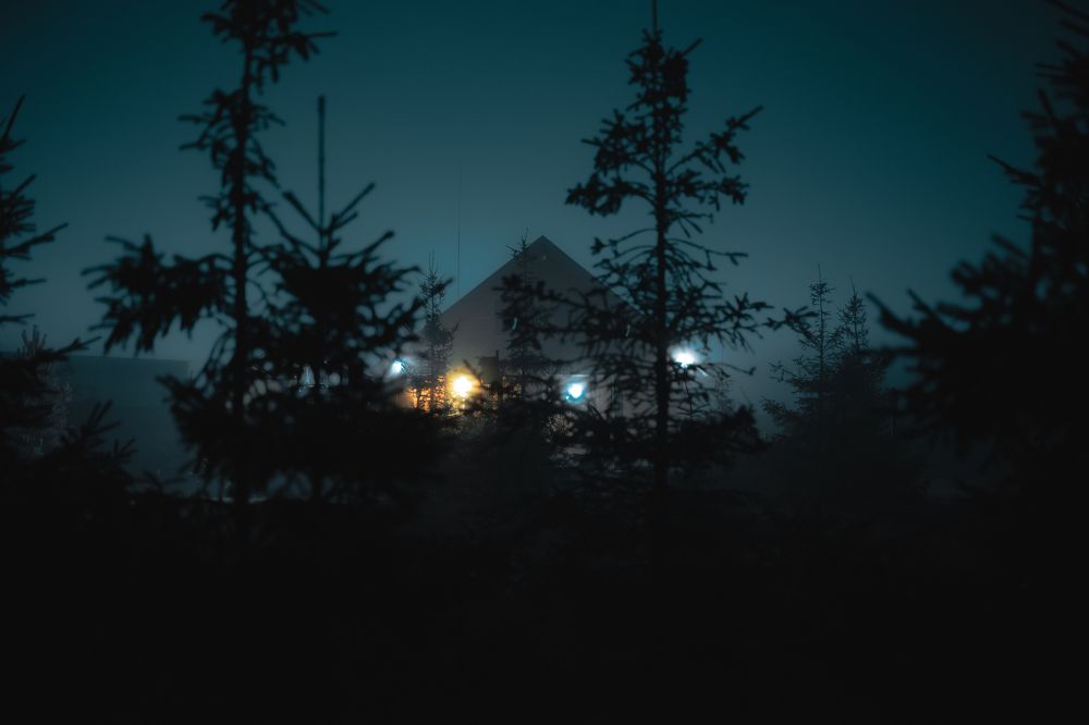 Photograph by Alexey Sapozhnikov