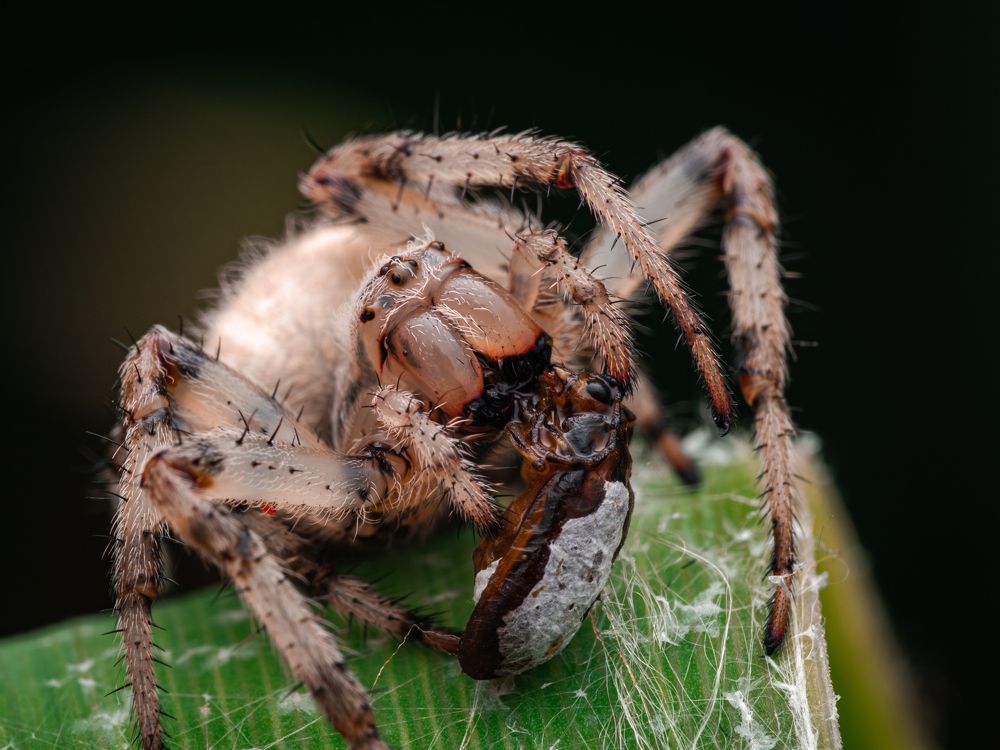 Photograph by Olga Link