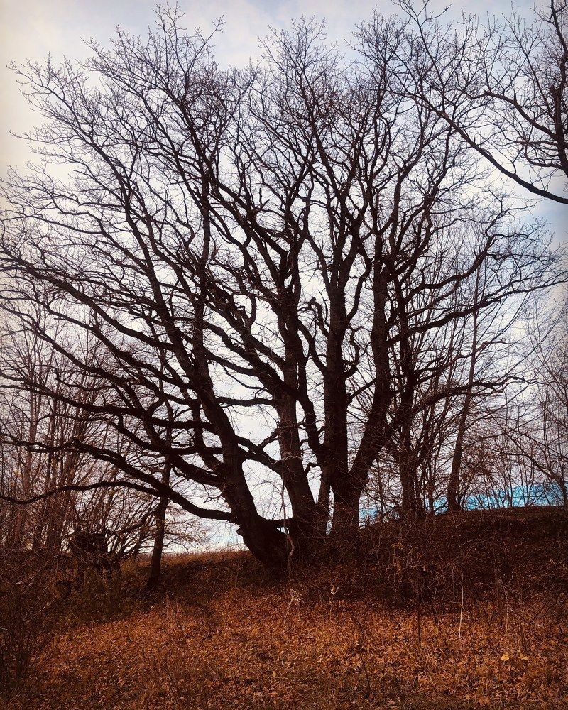 Photograph by Лариса Куторжевская