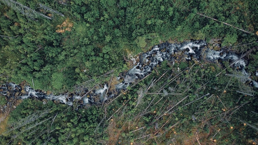 Photograph by Артём Амельянчик