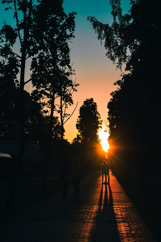 Photograph by Alexey Sapozhnikov