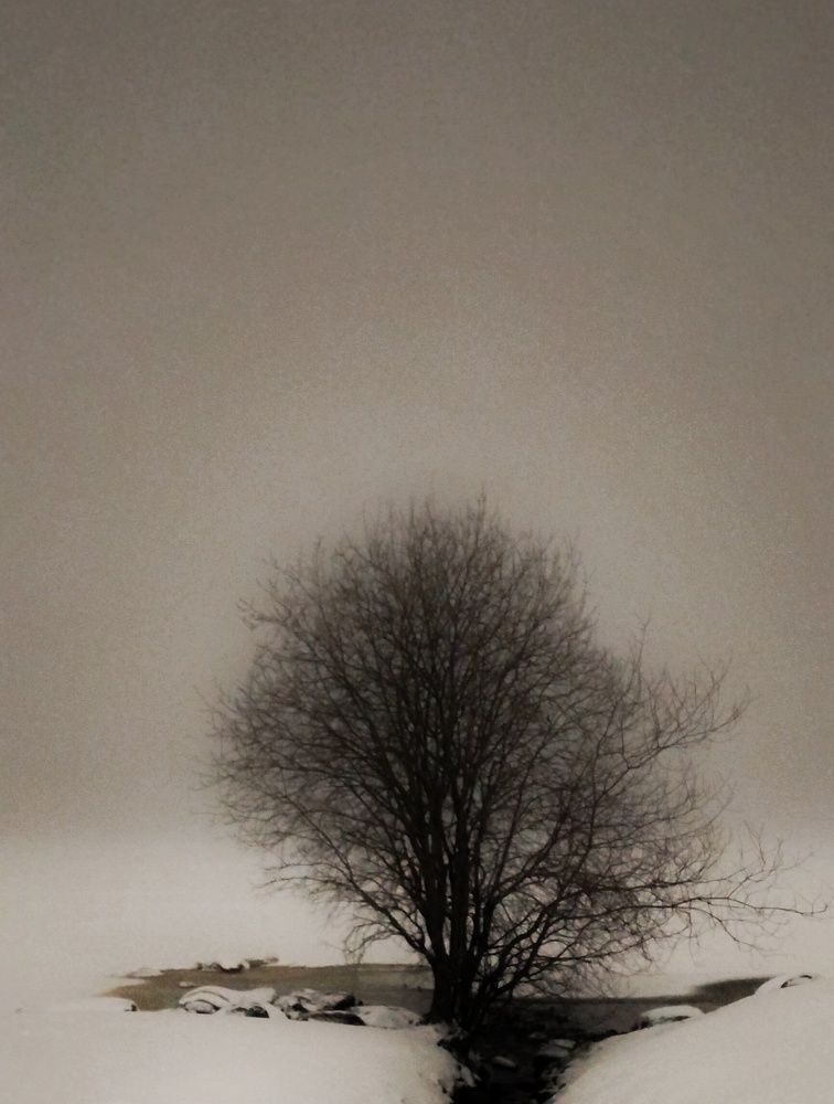 Photograph by Артем Великанов