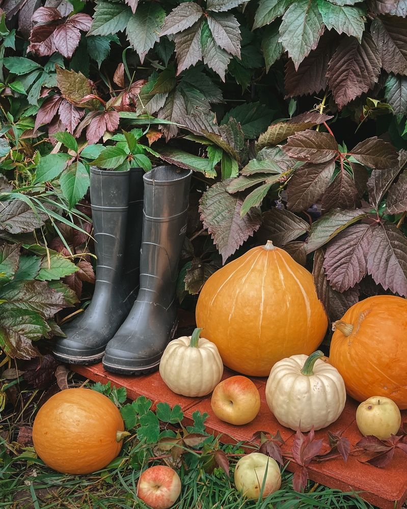 Photograph by Татьяна Ремизова