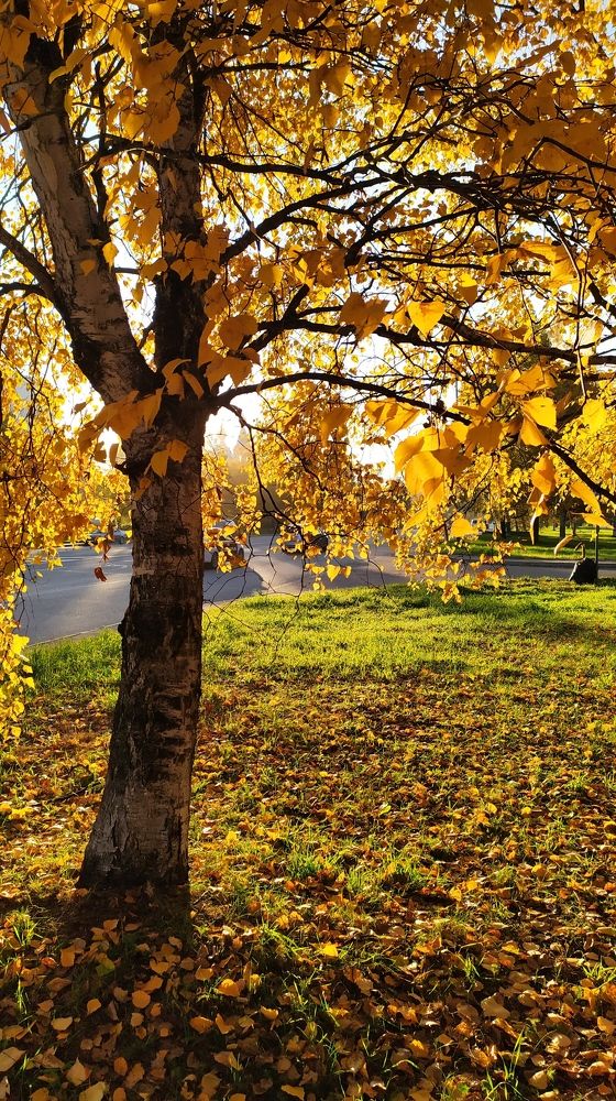 Фотография автора Сергей Сухумский